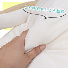 画像をギャラリービューアに読み込む, もちいぬ mini 赤柴・黒柴