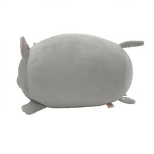 画像をギャラリービューアに読み込む, もちねこcatloaf