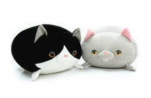 画像をギャラリービューアに読み込む, もちねこcatloaf