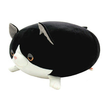 画像をギャラリービューアに読み込む, もちねこcatloaf