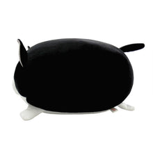 画像をギャラリービューアに読み込む, もちねこcatloaf