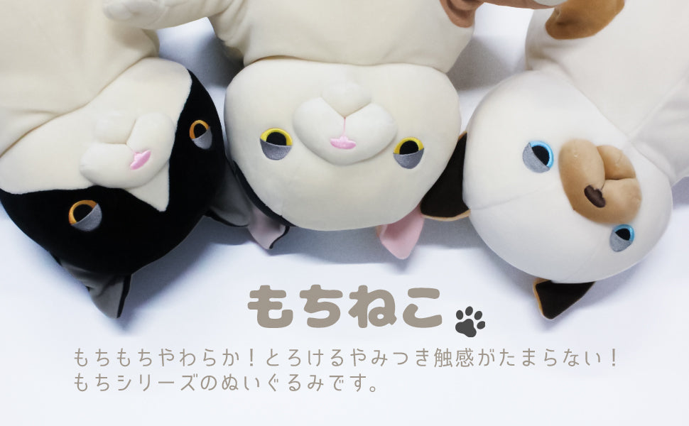 もちねこハチワレ オレンジ＆グレー Lサイズ – Morisakaglobal