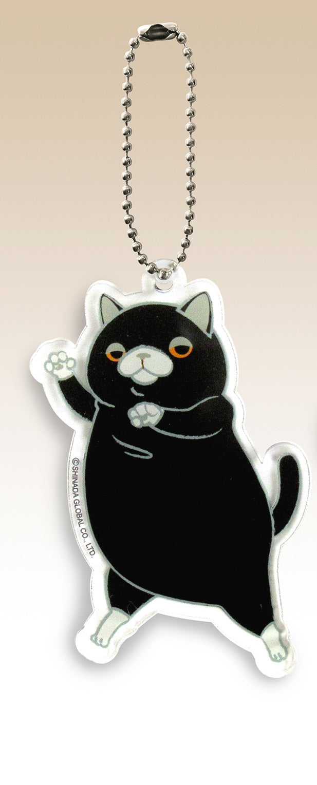 もちねこ もちねこ ナオル（XXLサイズ）