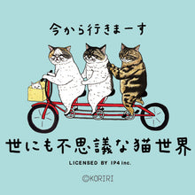 画像をギャラリービューアに読み込む, 世にも不思議な猫世界 着ぐるみ帽子
